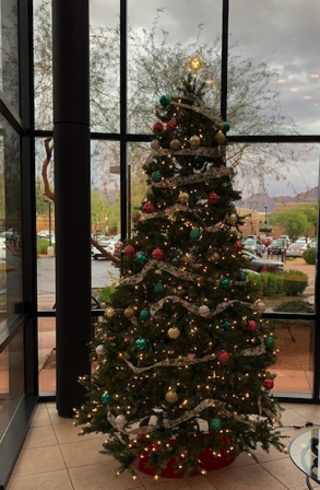 Dec 21 - Christmas tree at TOCA medical office in Scottsdale. And it's raining!